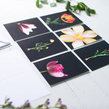 Load image into Gallery viewer, Tulips of Pella Folded Card Pack