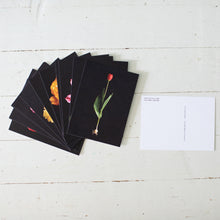Load image into Gallery viewer, Tulips of Pella Postcard Pack