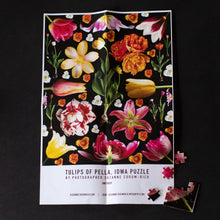 Load image into Gallery viewer, 500-Piece Tulip Puzzle
