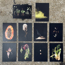 Load image into Gallery viewer, In/Security Galactagogue Study Postcard Pack
