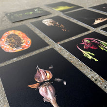 Load image into Gallery viewer, In/Security Galactagogue Study Postcard Pack
